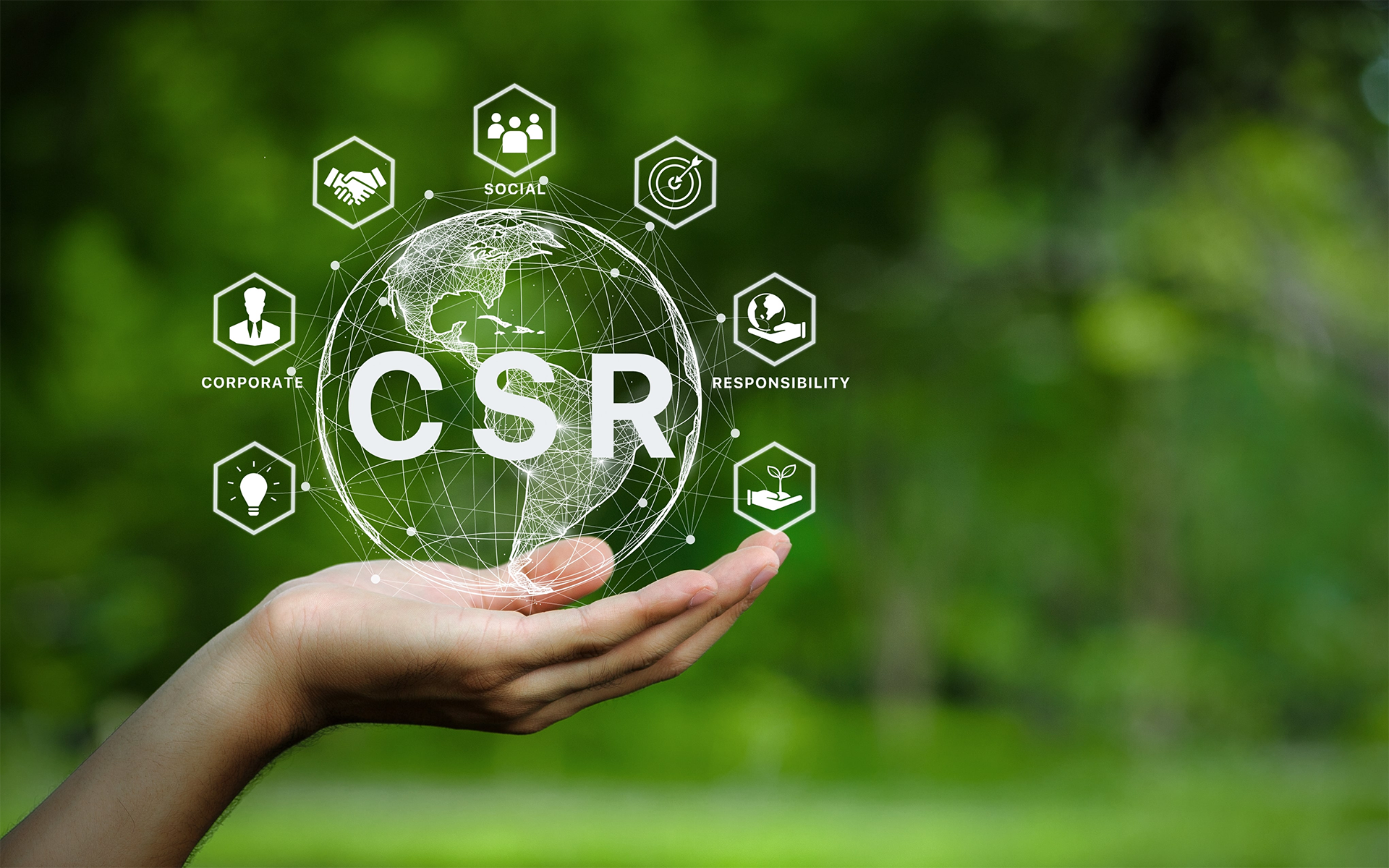 CSR_京森紅（廣東）科技實業有限公司